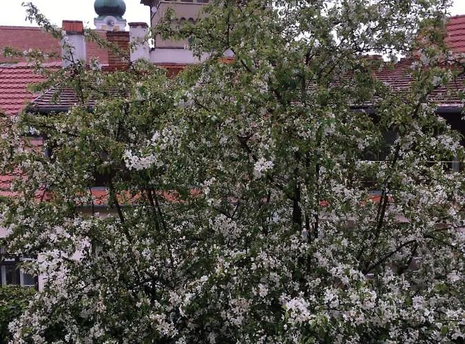 Apartamento Gábriel